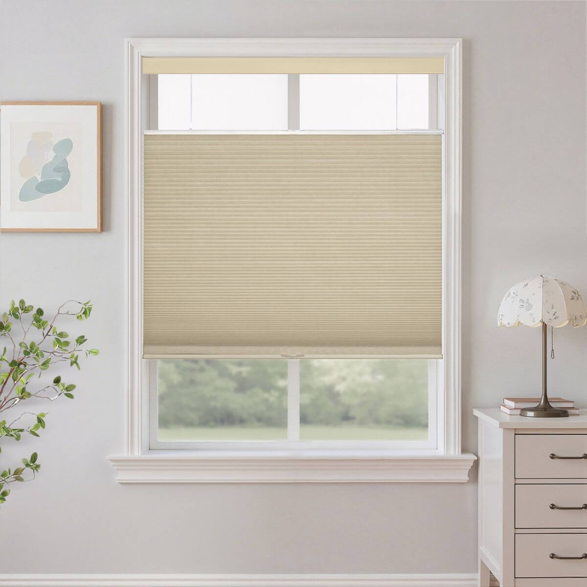 Nava Top-Down Bottom-Up Cellular Shades Blackout Honeycomb Blinds