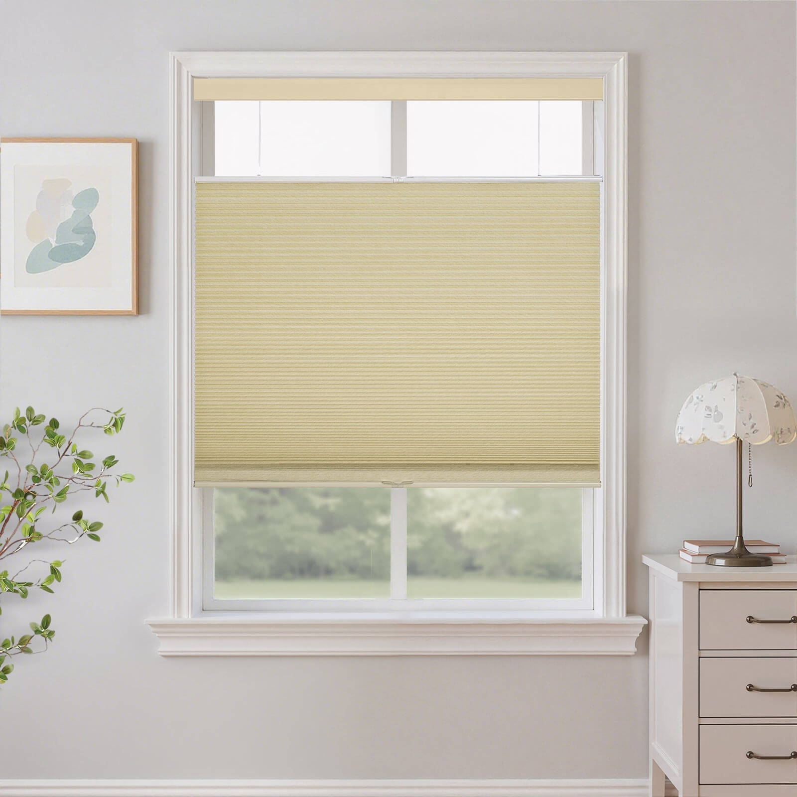 Nava Top-Down Bottom-Up Cellular Shades Blackout Honeycomb Blinds