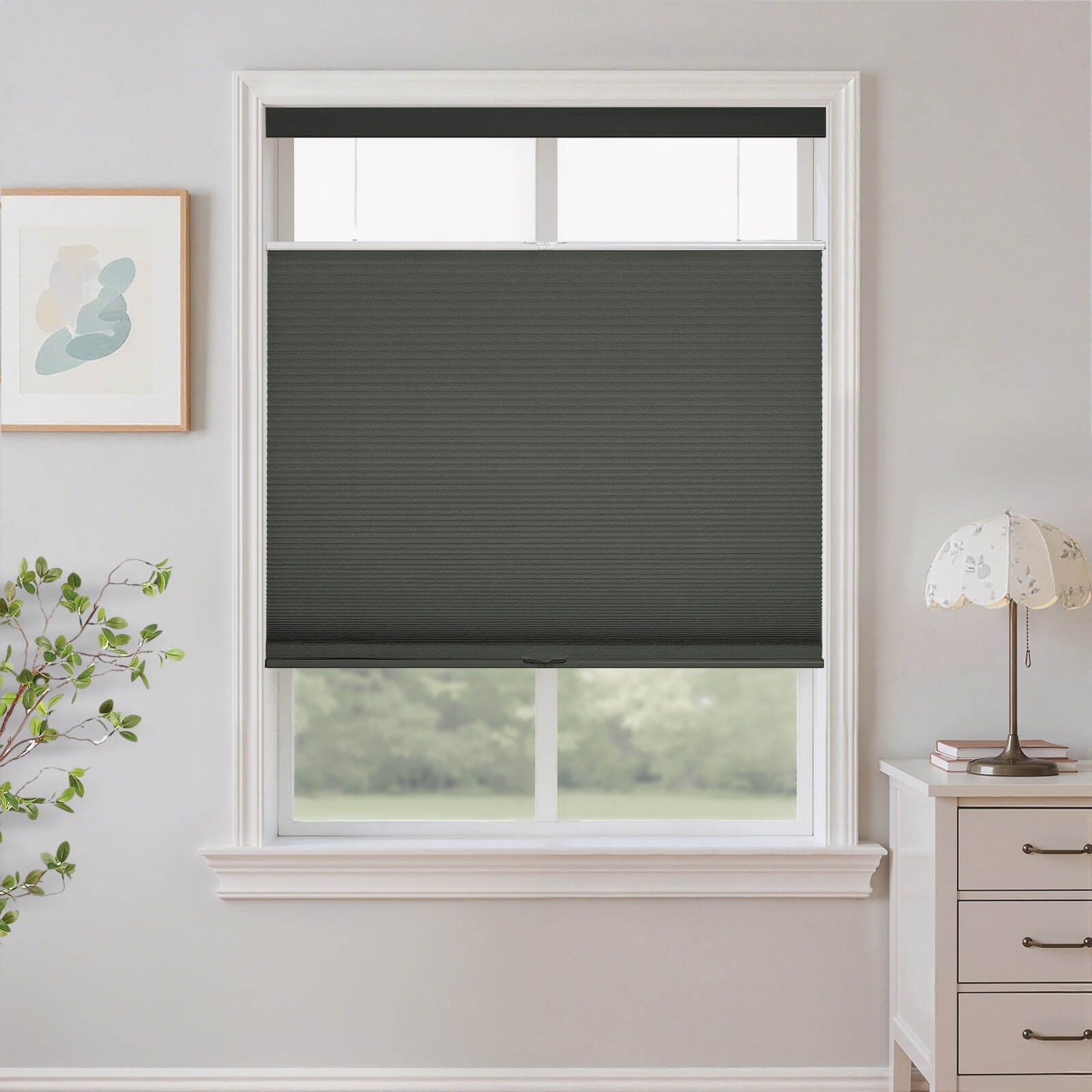 Nava Top-Down Bottom-Up Cellular Shades Blackout Honeycomb Blinds