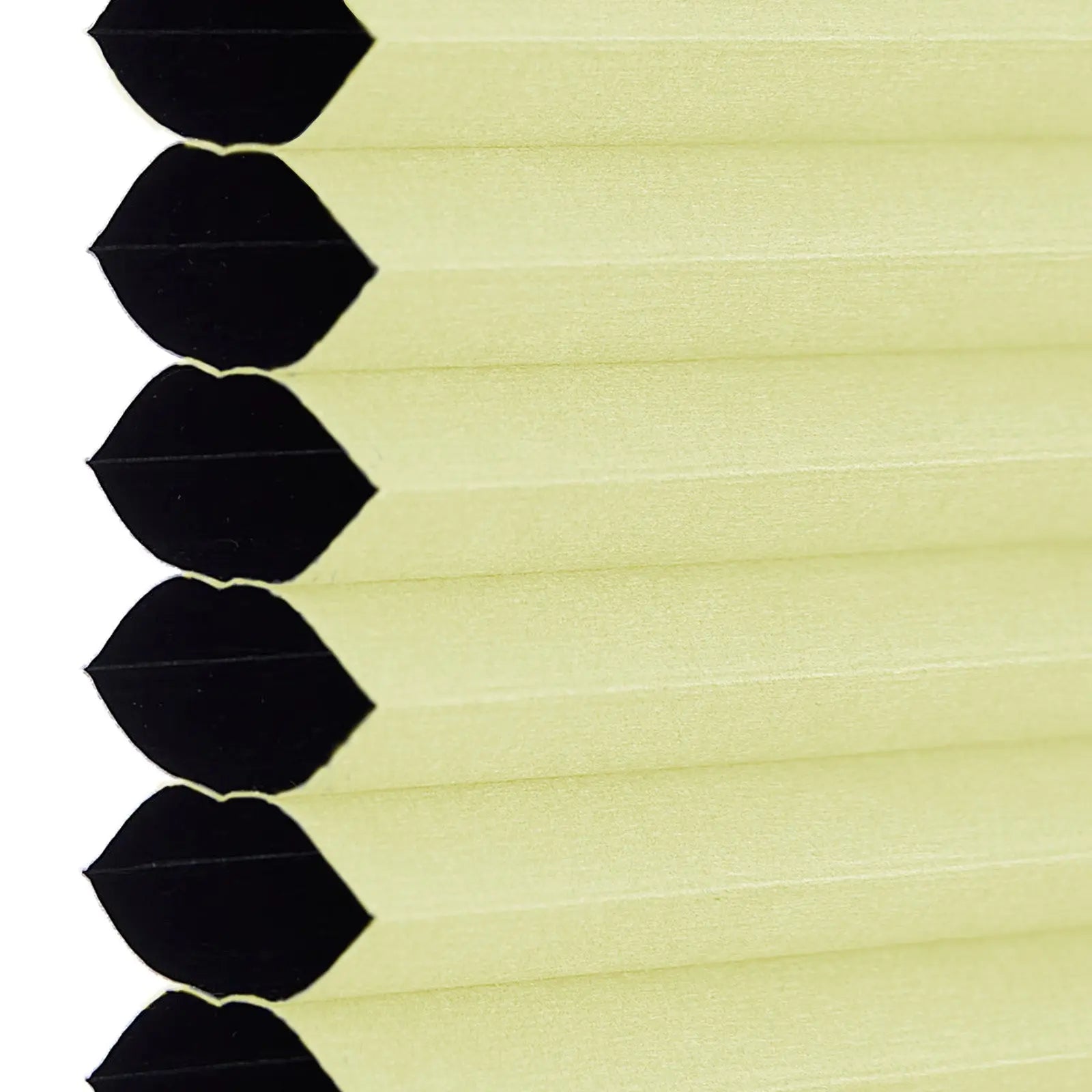 Day & Night Cellular Shades Light Filtering & Blackout Honeycomb Blinds