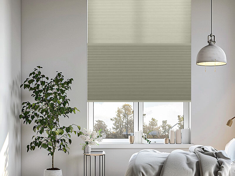 Day & Night Cellular Shades Light Filtering & Blackout Honeycomb Blinds