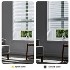 No Drill Zebra Blinds | Cordless Day Night Sheer Roller Shades – Easy Renter-Friendly Installation